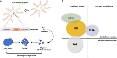 The Role of Glial Mitochondria in α-Synuclein Toxicity